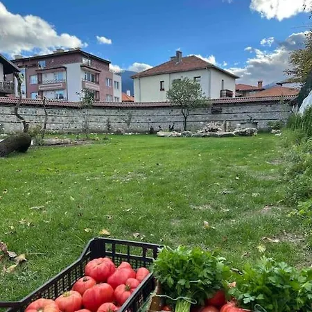 Fest Дом отдыха